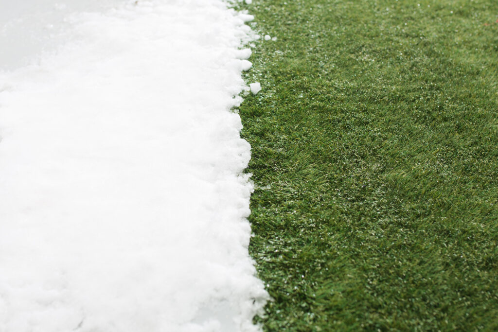 how to keep your grass alive during the winter